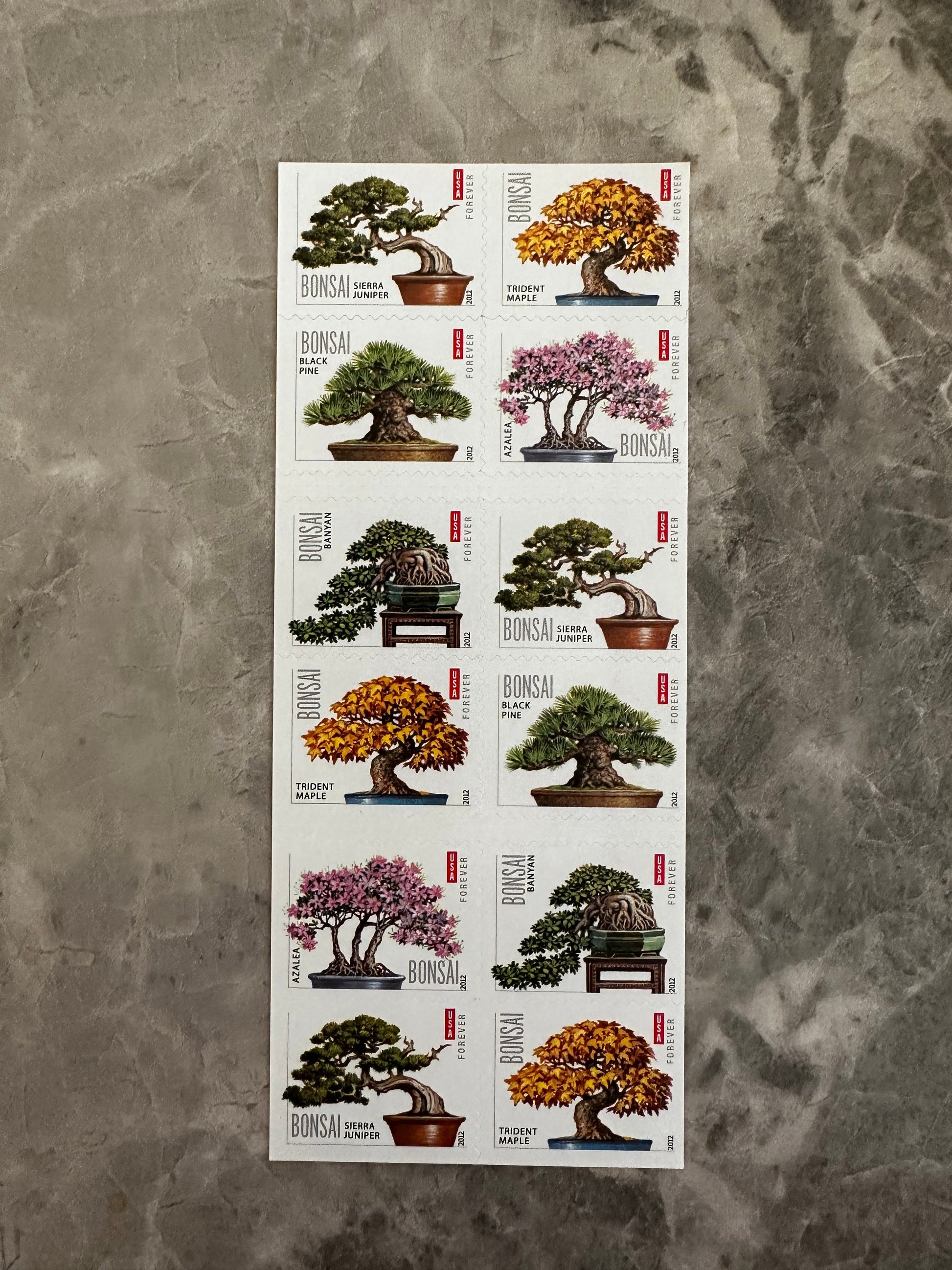forever bonsai tree USPS Bonsai Forever Postage Stamps – Stamps Discounts